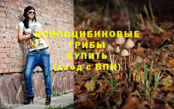 ECSTASY Баксан